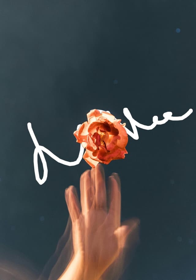 Image with custom drawings behind